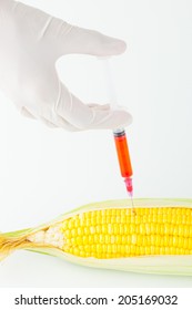 Corn Cob And Syringe / GM Maize