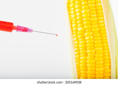 Corn Cob And Syringe / GM Maize