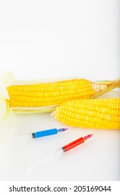 Corn Cob And Syringe / GM Maize