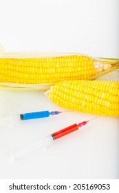 Corn Cob And Syringe / GM Maize