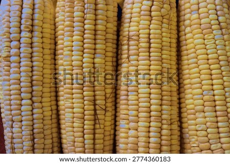 Corn cobs (espigas de milho) on a yellow checkered tablecloth. Concept of Brazilian June Festival (São João), traditional rural food, and harvest celebration. 