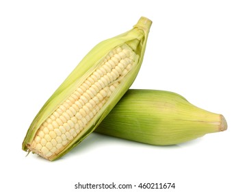 Corn cobs on white background