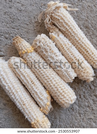 corn cobs, waste from corn cobs left over from agricultural products