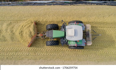 Corn Crop, Corn Silage Pile With Tractor Stuck