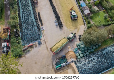 Corn Crop, Corn Silage Pile With Tractor Stuck