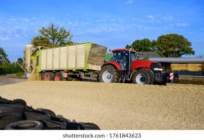 Corn Crop, Corn Silage Pile With Tractor Stuck