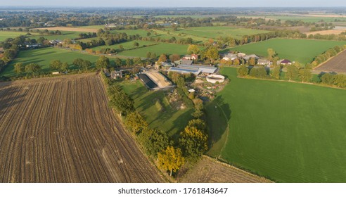 Corn Crop, Corn Silage Pile With Tractor Stuck