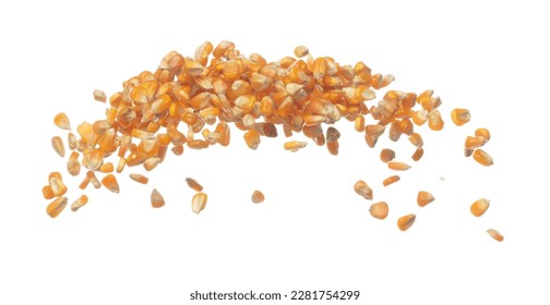 Corn dried seed grain fly in mid air. Yellow Golden corn seed falling scatter, explosion float in shape form line group. White background isolated freeze motion high speed shutter - Powered by Shutterstock