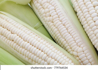Corn ears background