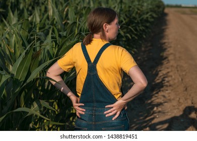 Corn farmer in field, portrait of agronomist woman looking at crops in summer sunset