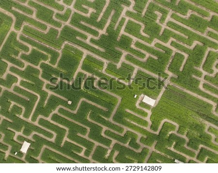 Corn field maze creating complex agricultural puzzle from above