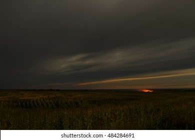 Corn Field At Night, Russia