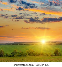 Corn Field And Sun Rise On Blue Sky