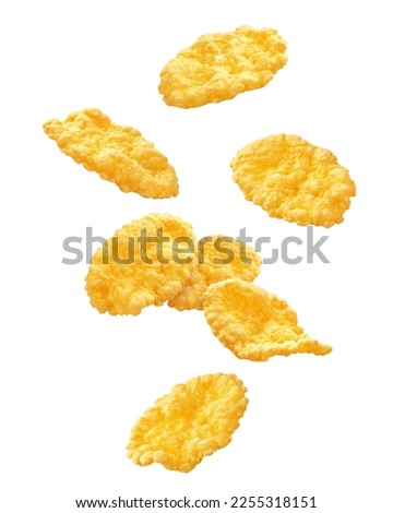 Corn Flakes isolated on white background, clipping path, full depth of field