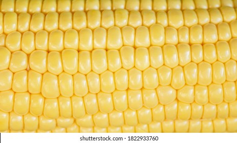 Corn Food Background, Macro Closeup. Yellow Sweetcorn Grain Texture. Tasty Vegetable, Vegetarian Meal