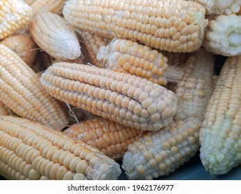 
The Corn Fruit Is Not Good So Farmers Cannot Sell It In The Market