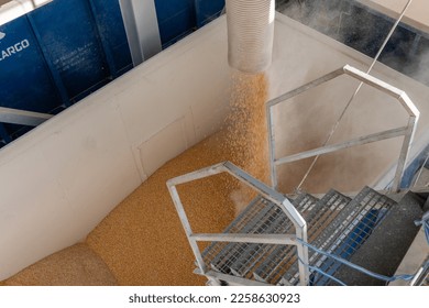 corn grain, cereals are poured into a wagon for transportation.Logistic  for import and export - Shutterstock ID 2258630923