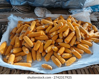 Corn is a great feed source for chickens, as it's rich in carbohydrates and other essential nutrients. Chickens absolutely love corn!