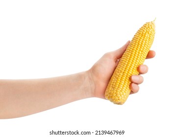 corn in hand path isolated on white