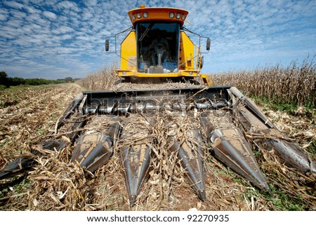 Similar – Image, Stock Photo maize field Landscape Sky