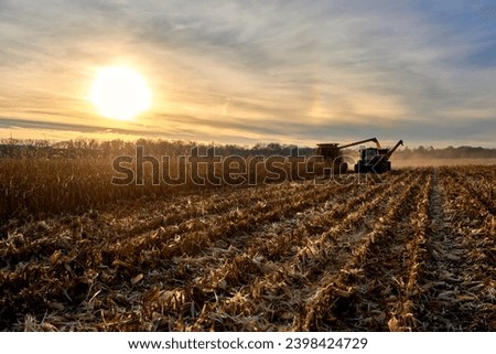 Corn harvester with tag-along tractor and trailer in the late afternoons autumn sun.