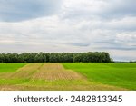 Corn and hay alternating in rows for the practice of strip cropping in Wisconsin, horizontal