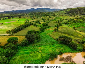 Corn industry on the Mountain in Thailand, Corn field under beautiful dark blue sky - Shutterstock ID 1225044433
