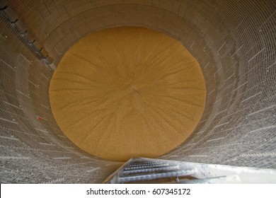 Corn inside of a grain bin seen from the top looking down toward the bottom