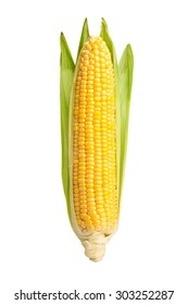 Corn Isolated