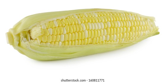 Corn isolated on a white background - Shutterstock ID 160811771
