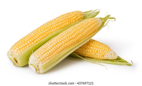 64,652 Ears corn on white background Images, Stock Photos & Vectors ...