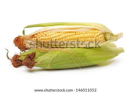 corn isolated on a white background 