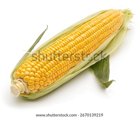 Corn isolated on White background
