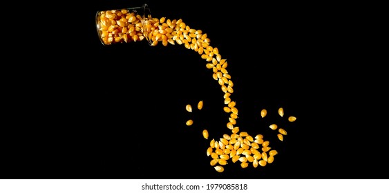 Corn kernels are the fruits of corn called maize in many countries.Maize is a grain, and the kernels are used in cooking as a vegetable or a source of starch, oil etc.