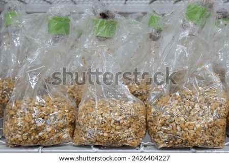 Corn kernels are packaged in clear plastic bags that are then steamed to expand biological control agents in agriculture