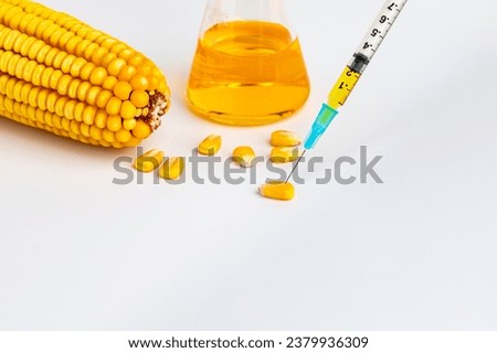 Corn kernels with syringe. Genetic modified crops, herbicide and insect resistant and agriculture research concept.