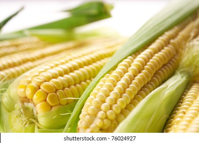 Corn With Leaves