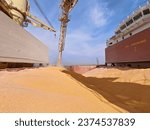 Corn or maize is loading into cargo hold of a bulk carrier by sprout or shooter