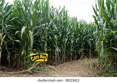 Corn Maze Entrance