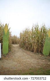 Corn Maze Entrance