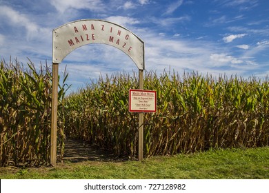 Corn Maze Entrance Wide Shot