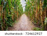 A corn maze or maize maze is a maze cut out of a corn field. The first corn maze was in Annville, Pennsylvania. Corn mazes have become popular tourist attractions in North America.