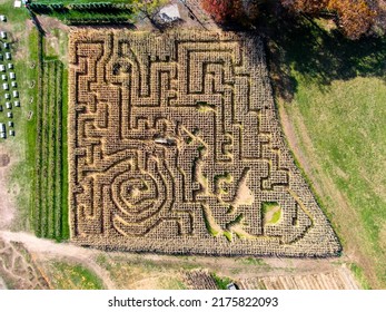 Corn Maze Overhead Drone Shot