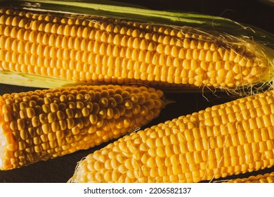 Corn On The Cob. Golden Corn Close Up. Autumn Harvesting. Corn Seeds In Sunlight. Organic Vegetables. Ripe Sweetcorn. Maize Harvest.