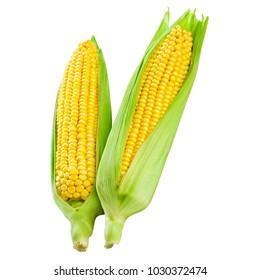 Corn on the cob kernels close up shot Clipping Path