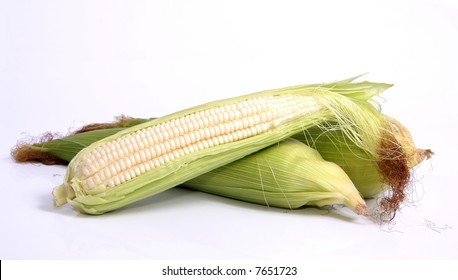 Corn on the cob or maize, skinned and whole
