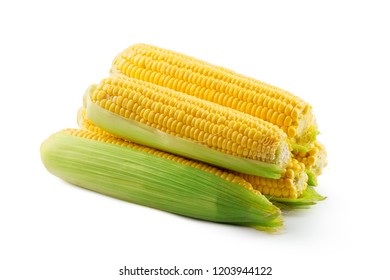 Corn on a white background