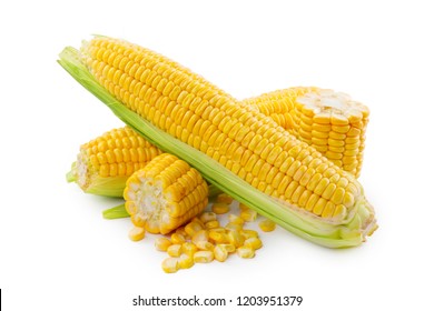 Corn On A White Background