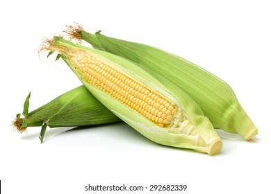 Corn On White Background 