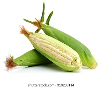 Corn On White Background 